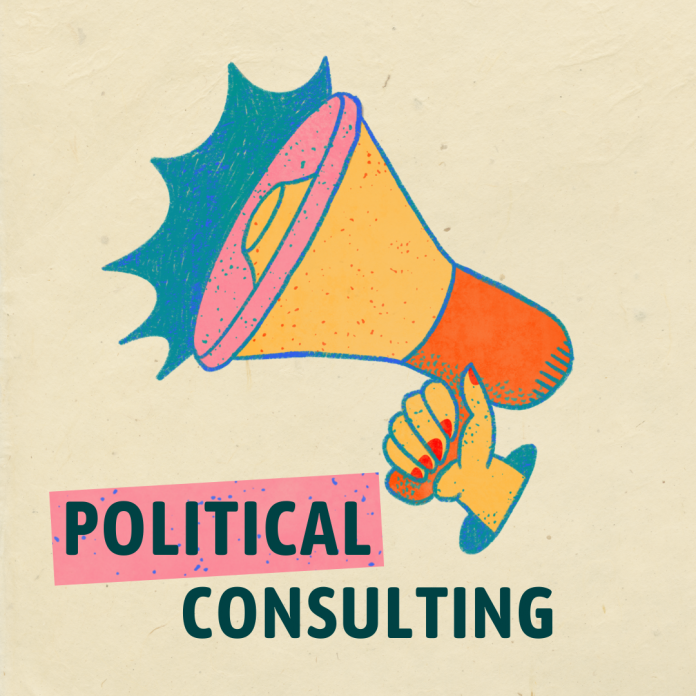 Political consulting india